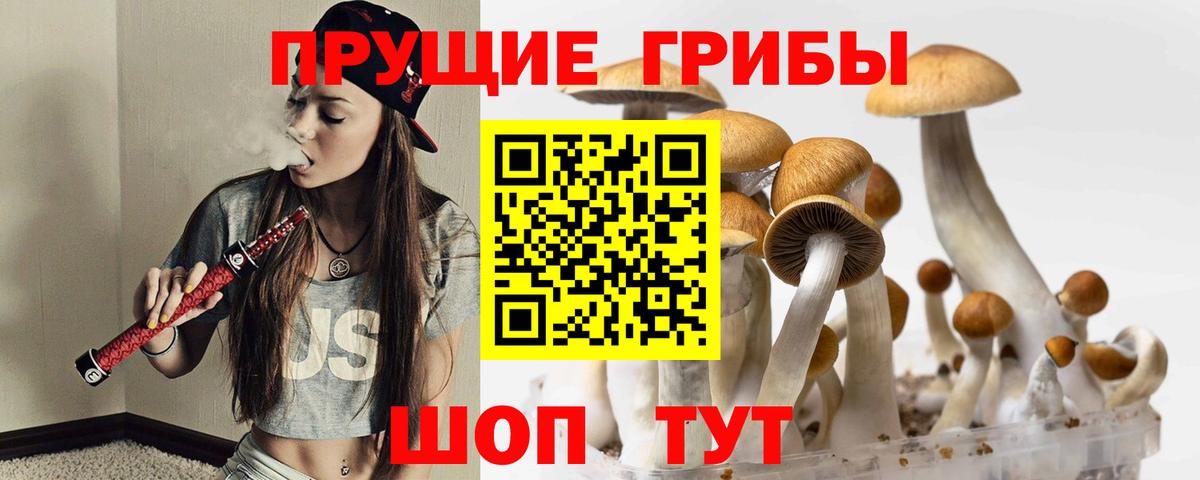 Галлюциногенные грибы GOLDEN TEACHER Зерноград