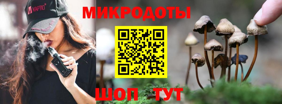 Галлюциногенные грибы MAGIC MUSHROOMS  Вход с VPN  Зерноград 